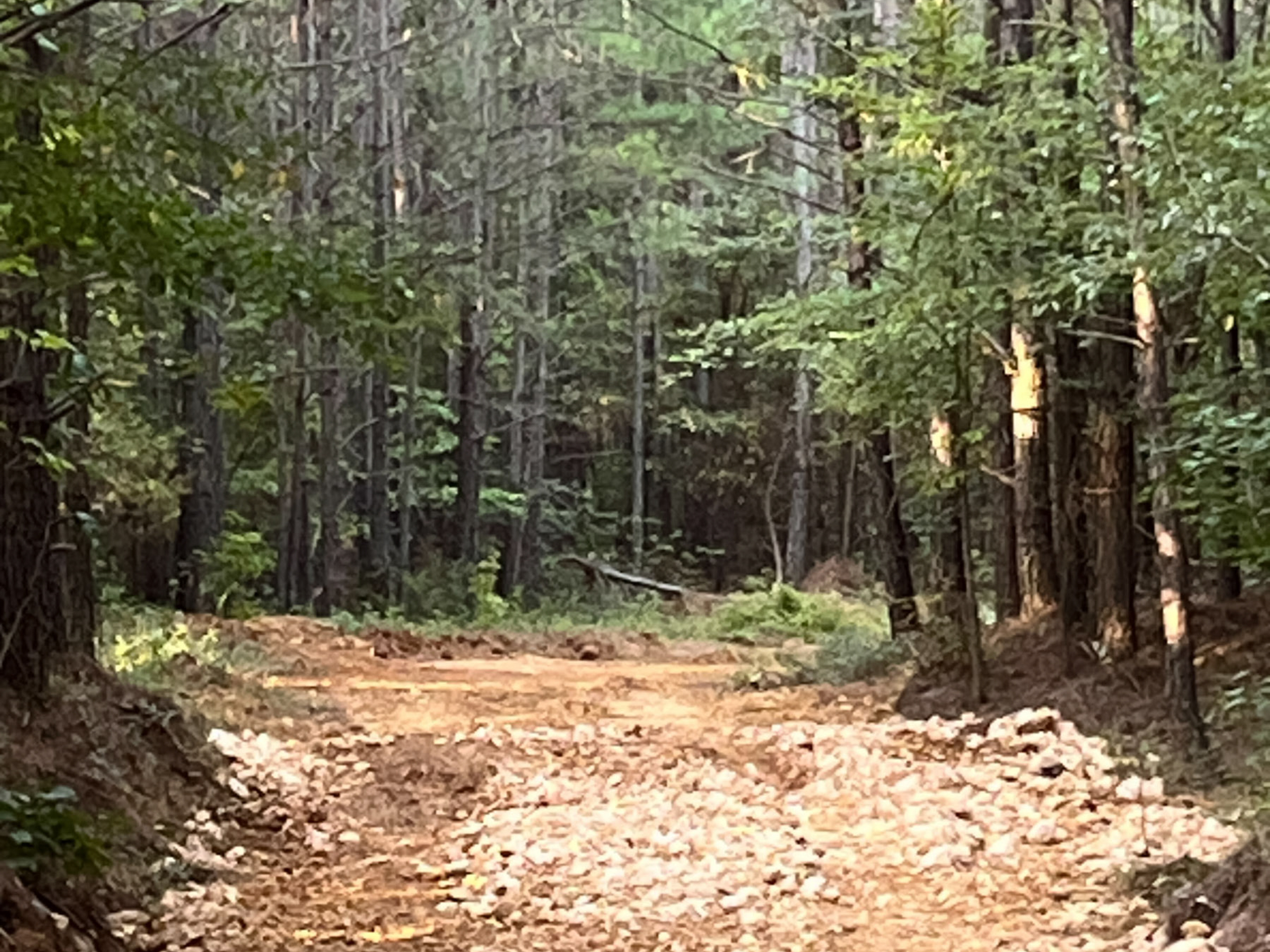 Tract 101 at Whiskey Ridge in Henderson County, Tennessee