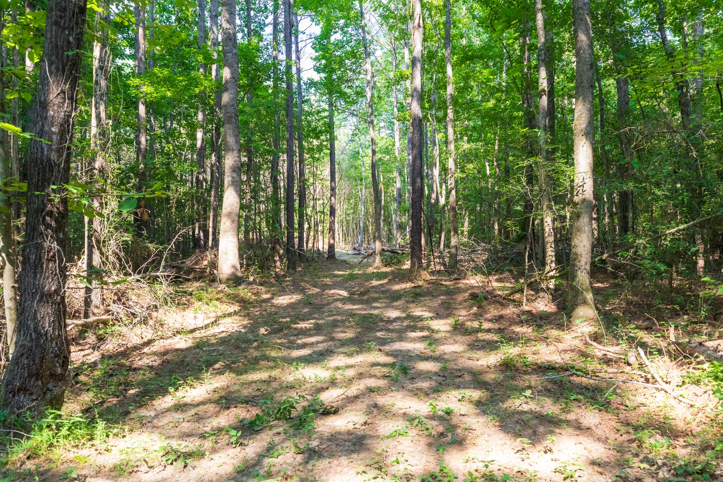 Tract 108 at Whiskey Ridge in Henderson County, Tennessee