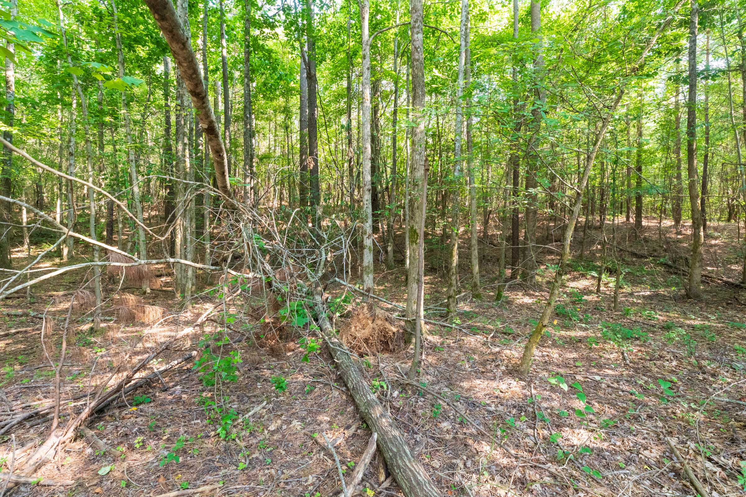 Tract 112 at Whiskey Ridge in Henderson County, Tennessee
