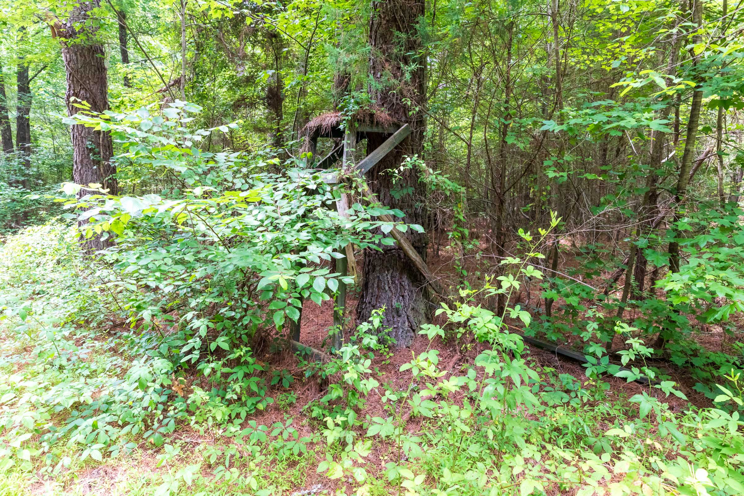 Tract 13 at Whiskey Ridge in Henderson County, Tennessee