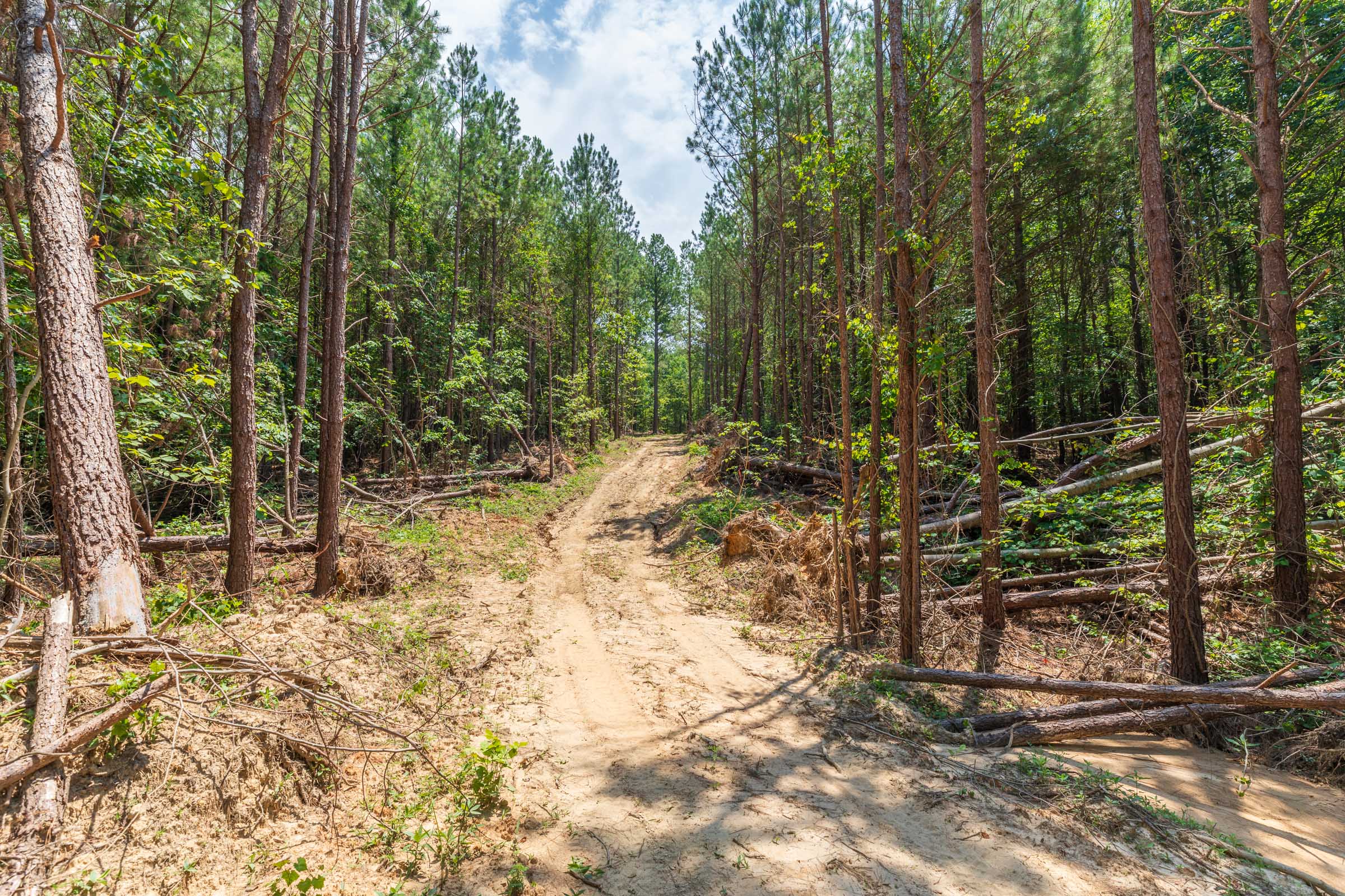 Tract 2 at Whiskey Ridge in Henderson County, Tennessee