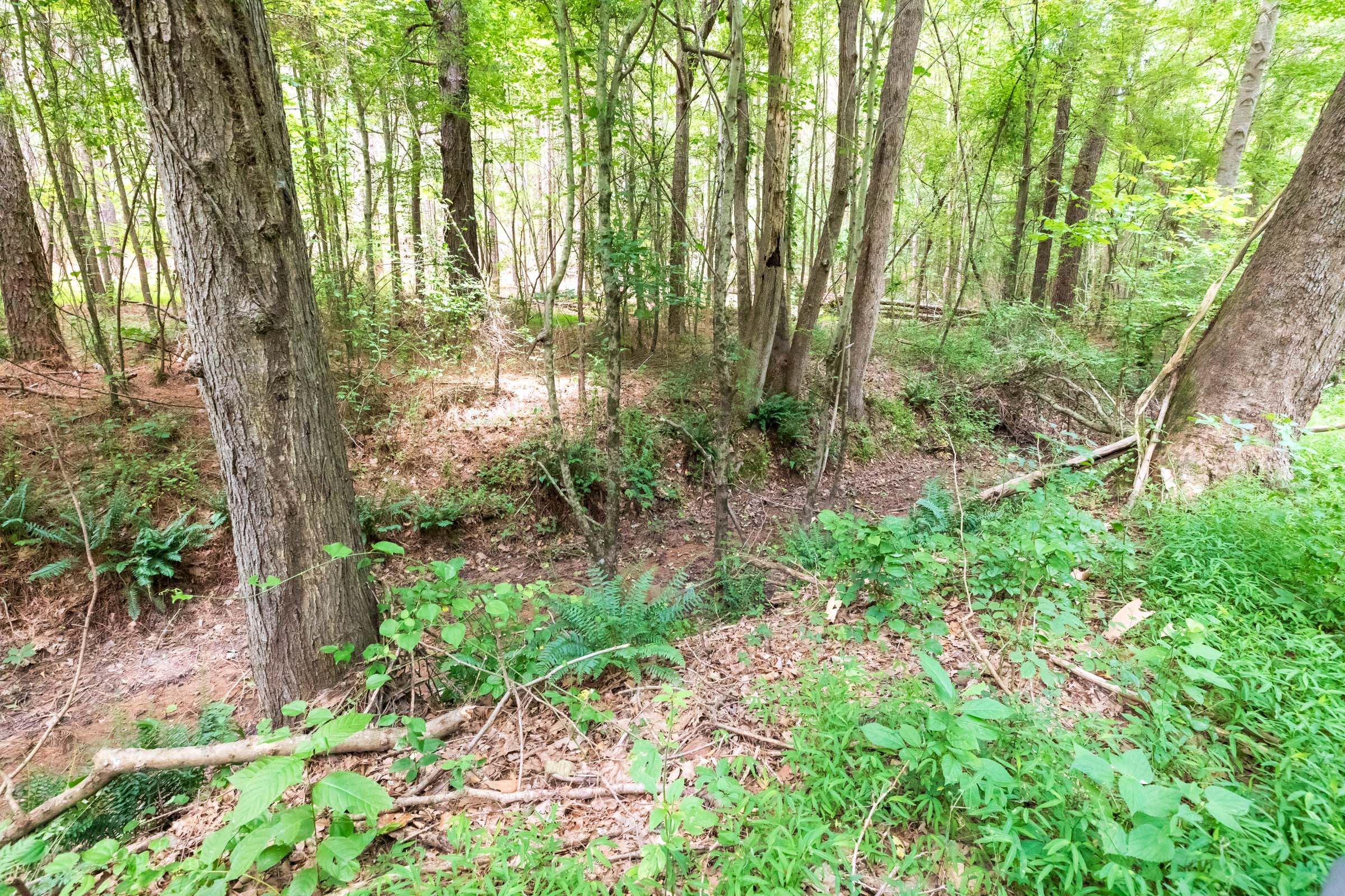 Tract 23 at Whiskey Ridge in Henderson County, Tennessee