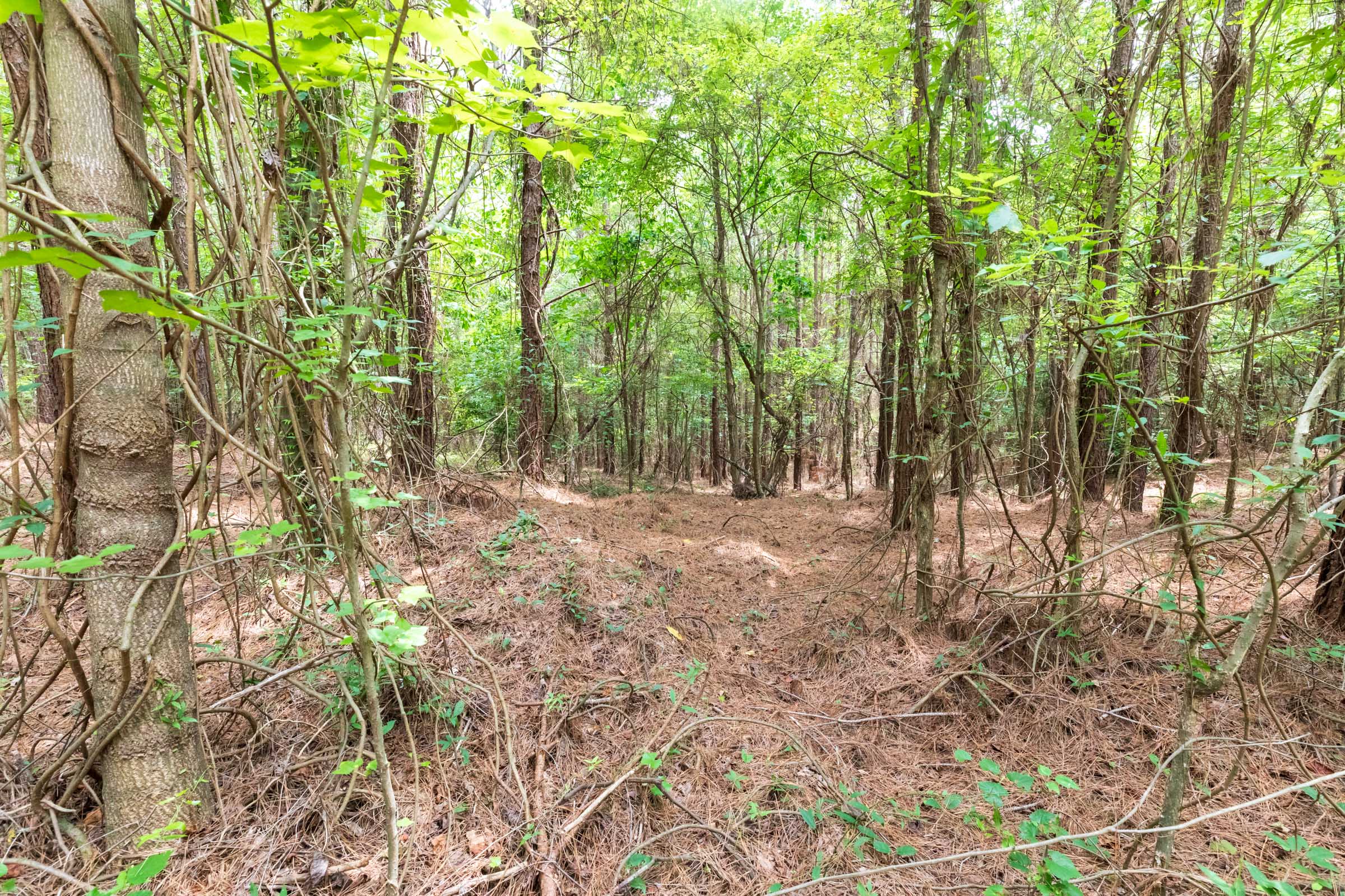 Tract 28 at Whiskey Ridge in Henderson County, Tennessee
