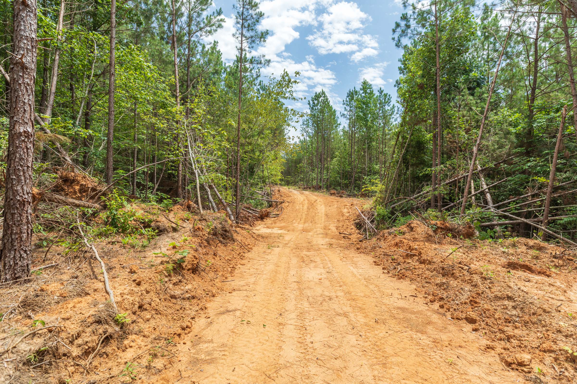 Tract 3 at Whiskey Ridge in Henderson County, Tennessee