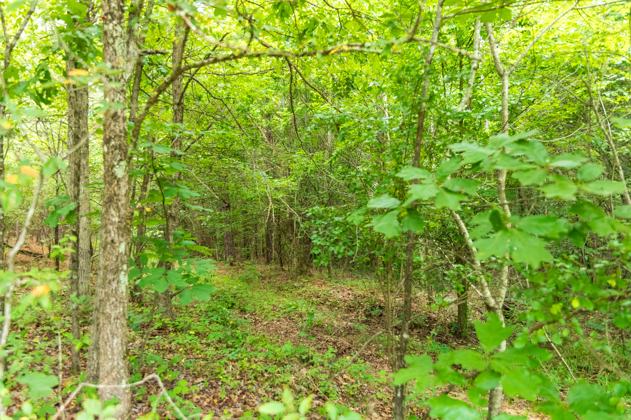 Tract 45 at Whiskey Ridge in Henderson County, Tennessee