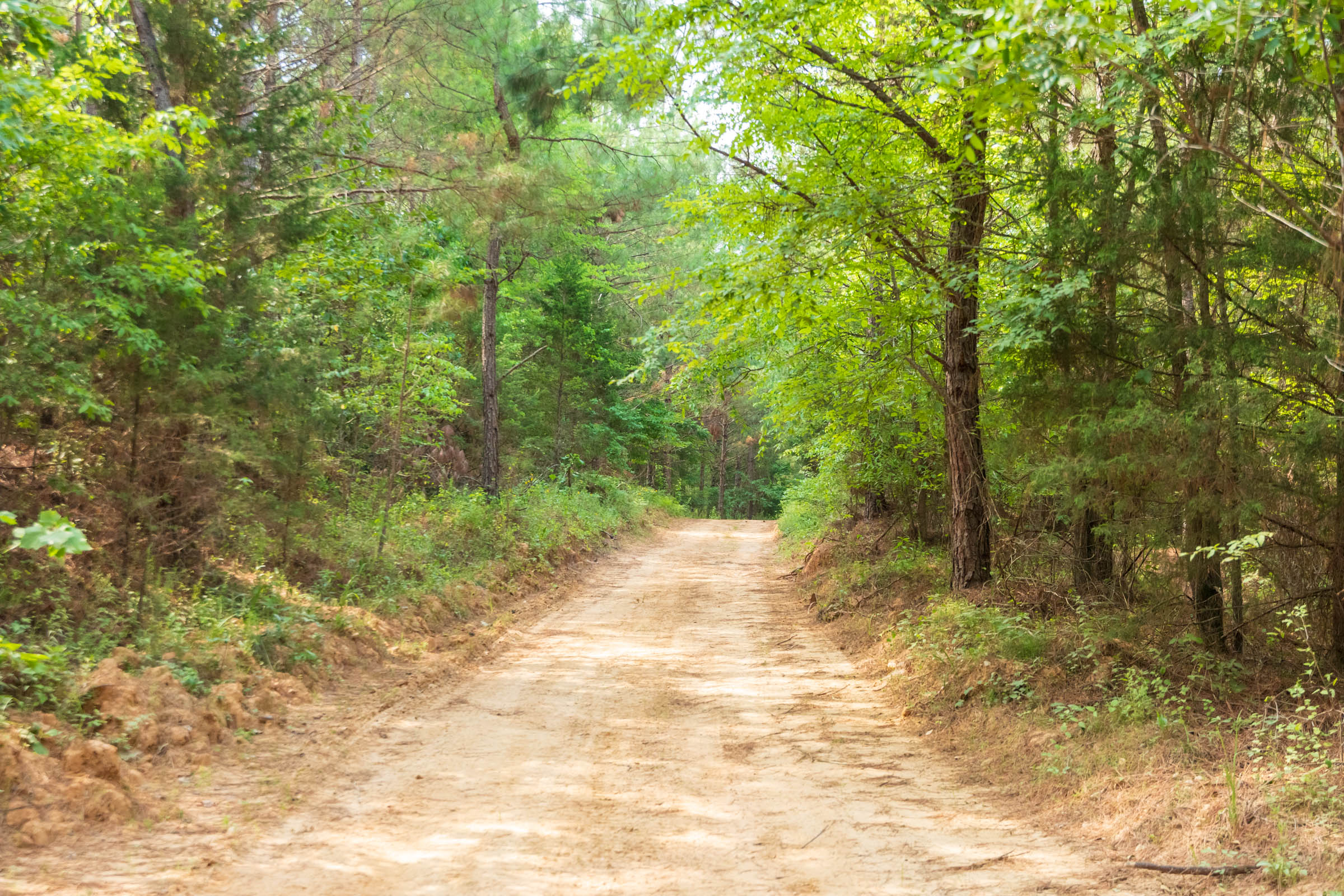 Tract 55 at Whiskey Ridge in Henderson County, Tennessee