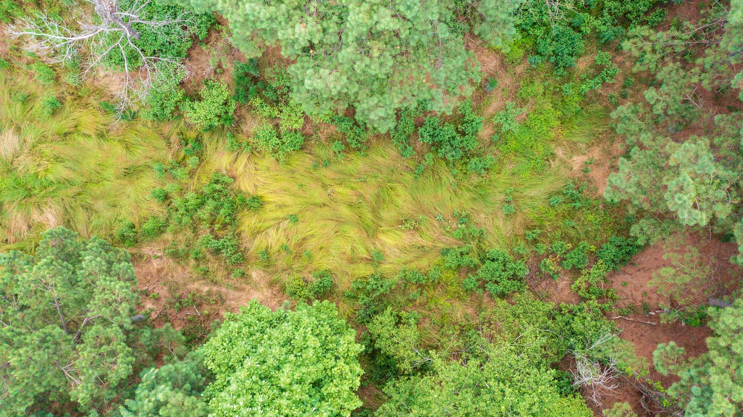 Tract 56 at Whiskey Ridge in Henderson County, Tennessee