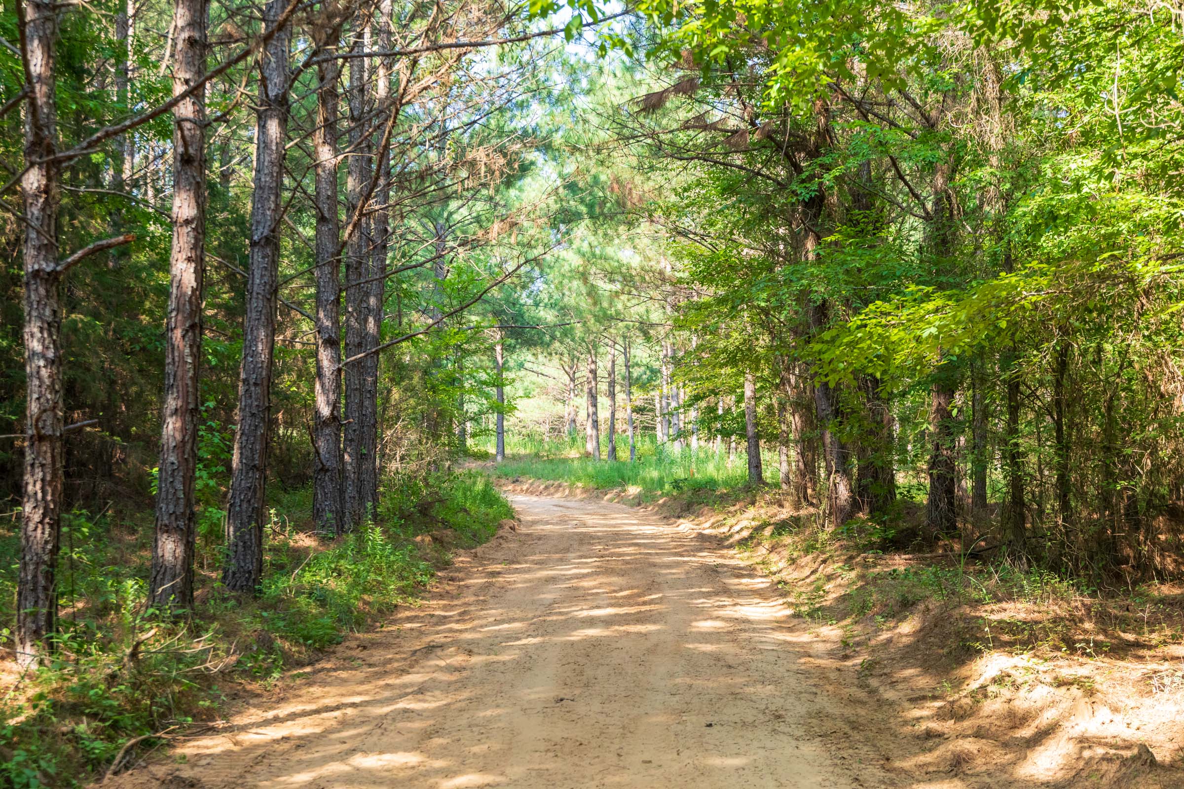 Tract 57 at Whiskey Ridge in Henderson County, Tennessee