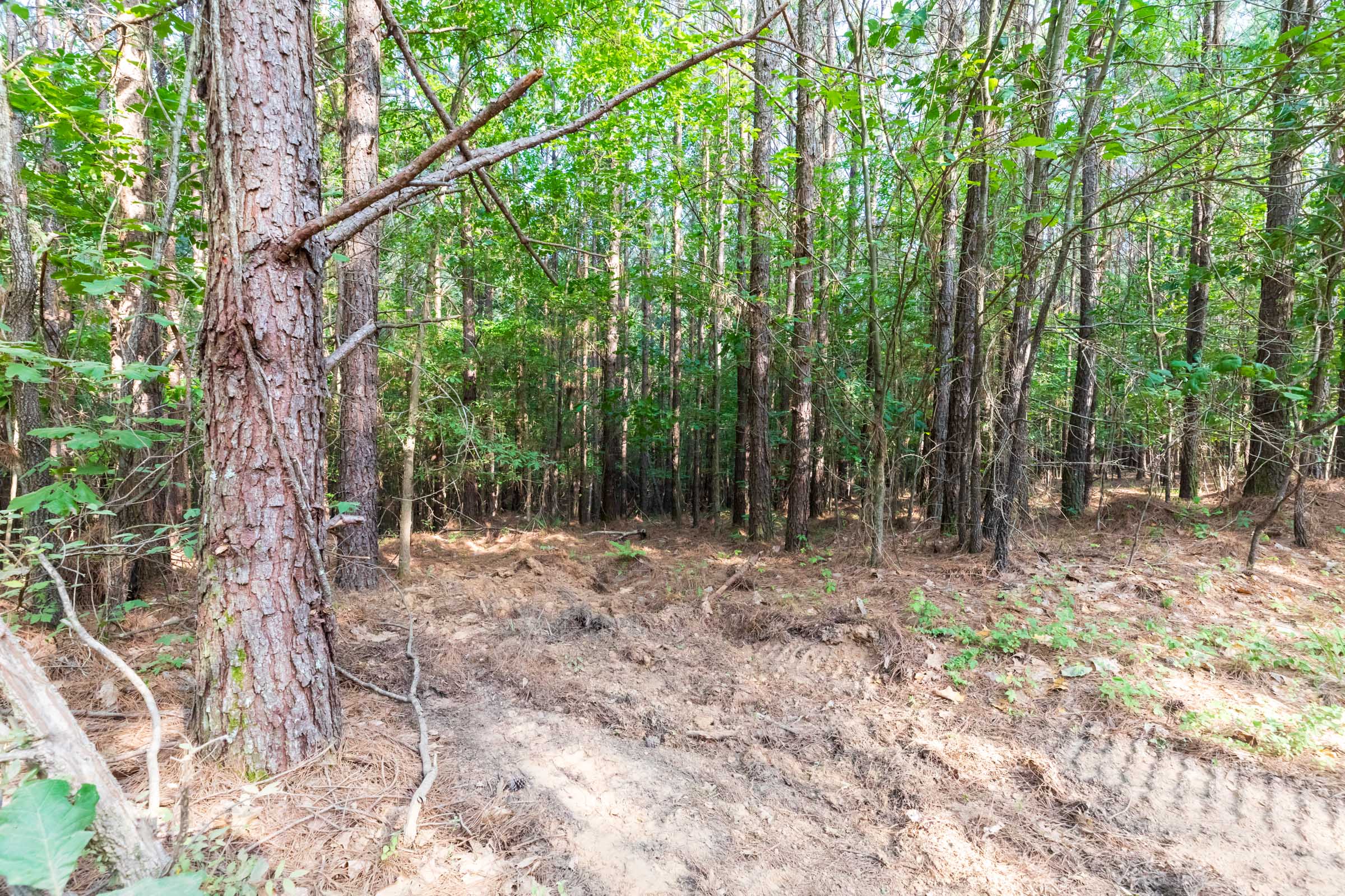 Tract 59 at Whiskey Ridge in Henderson County, Tennessee