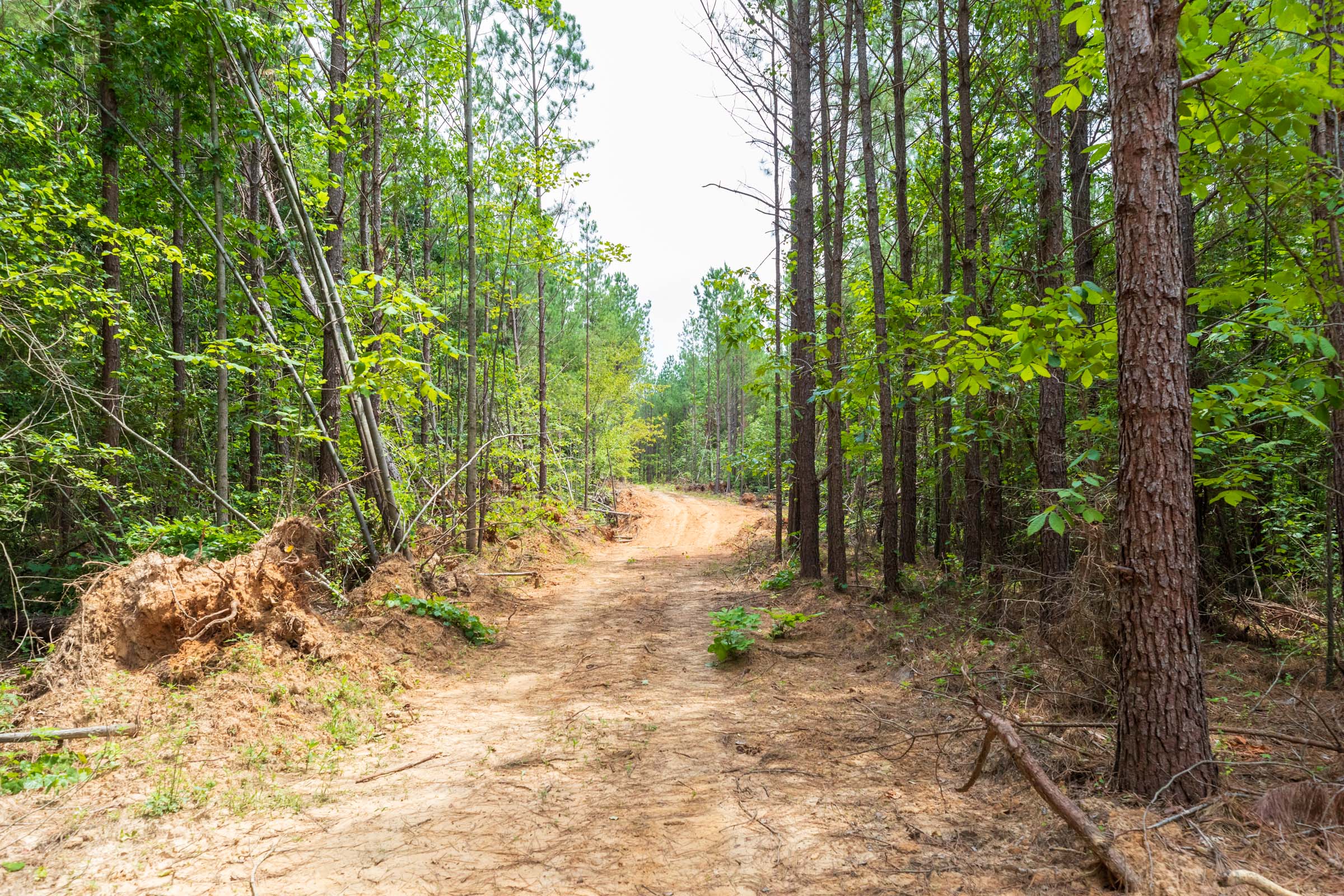 Tract 6 at Whiskey Ridge in Henderson County, Tennessee