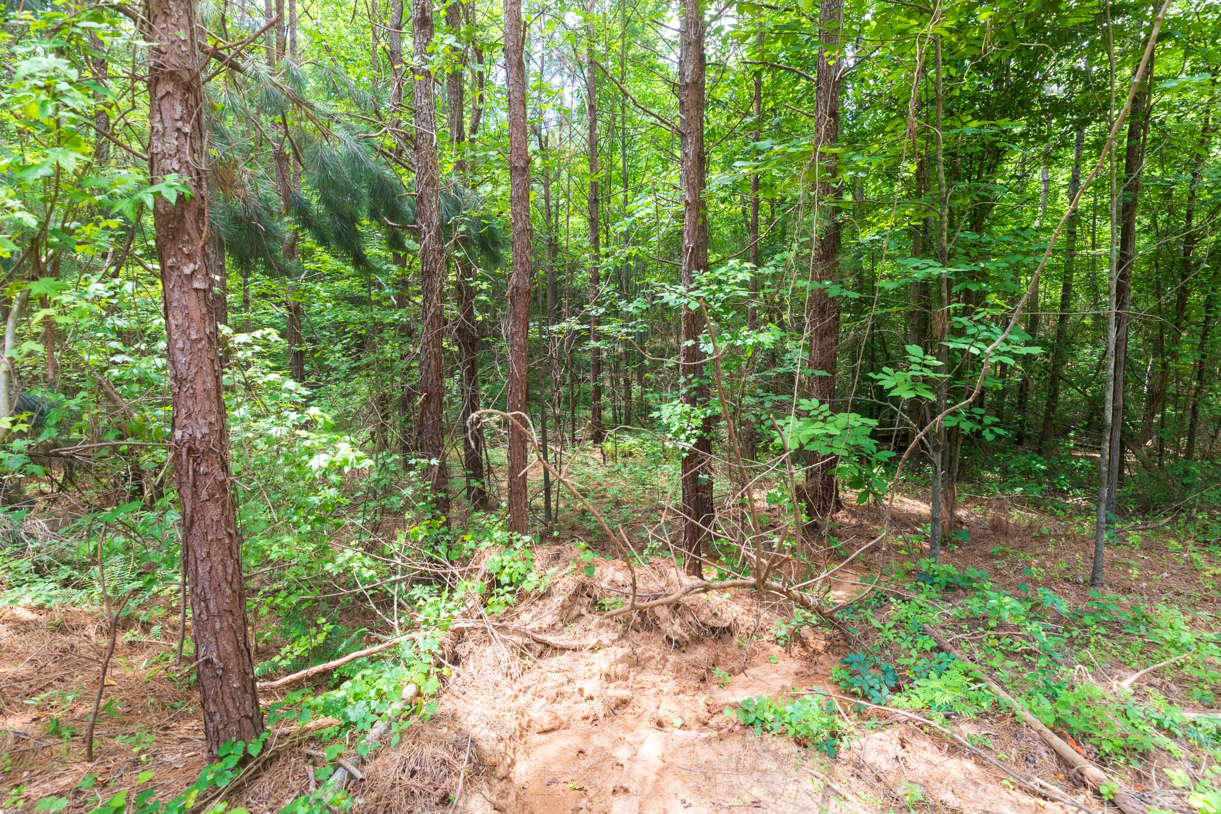 Tract 7 at Whiskey Ridge in Henderson County, Tennessee