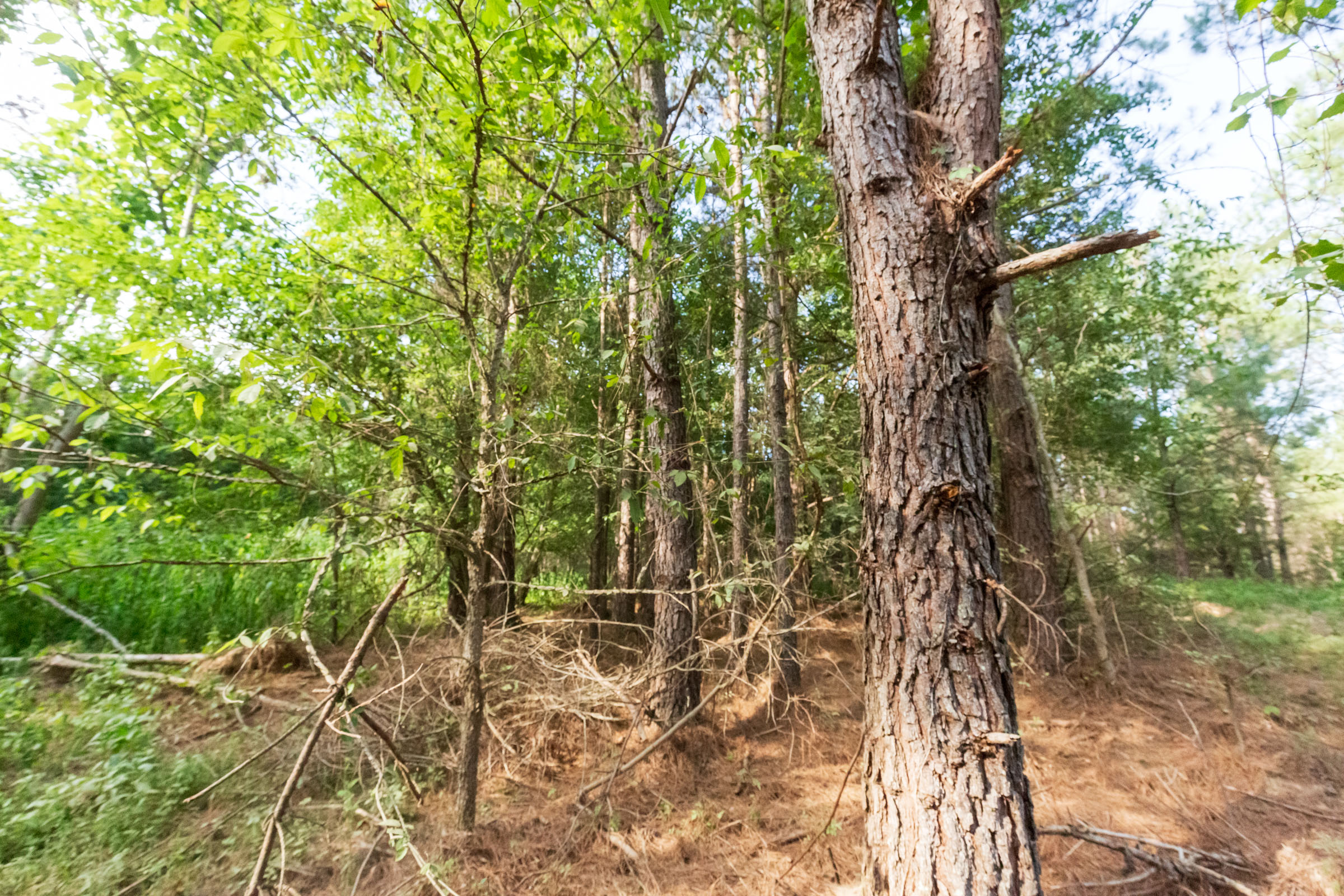 Tract 71 at Whiskey Ridge in Henderson County, Tennessee