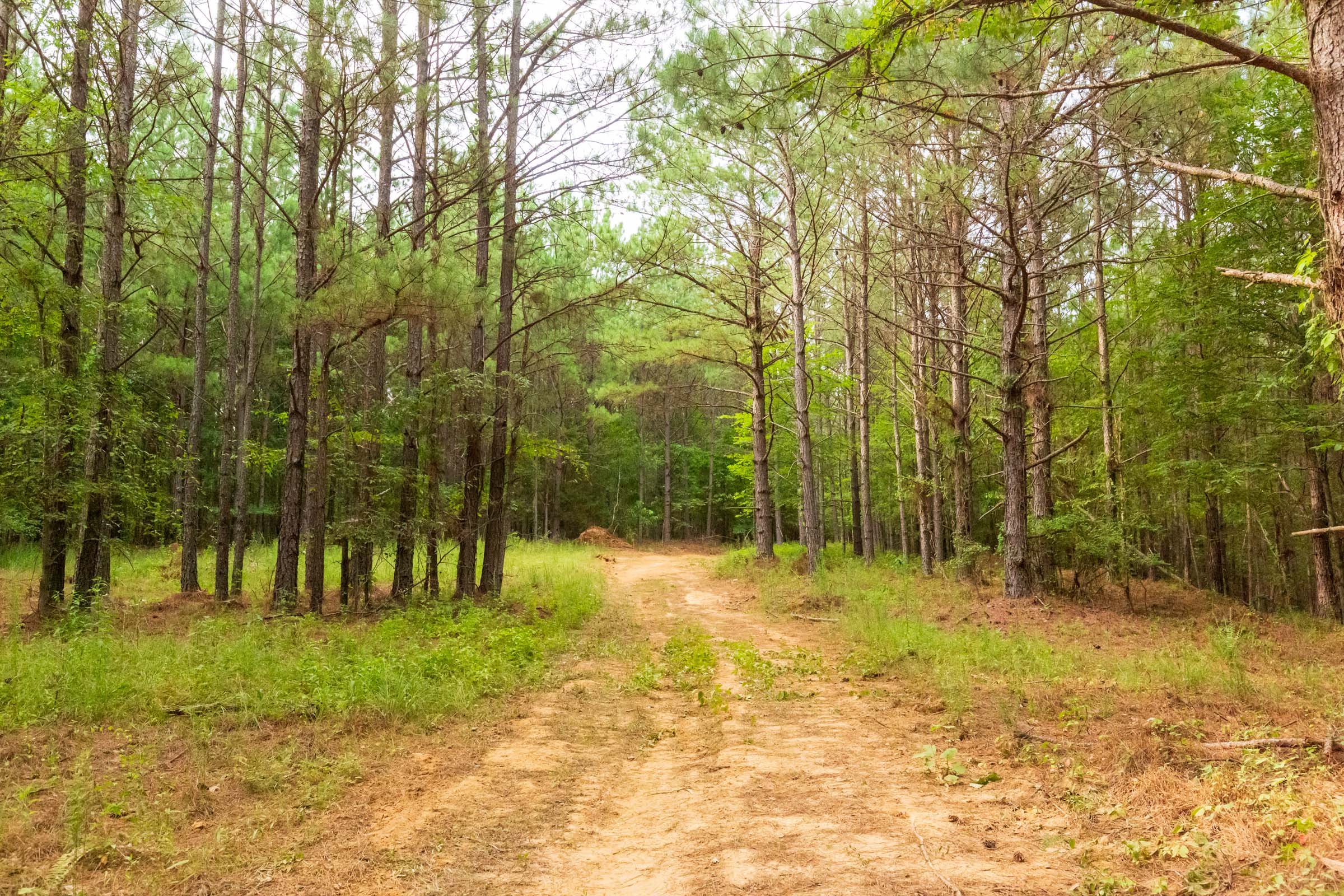 Tract 73 at Whiskey Ridge in Henderson County, Tennessee