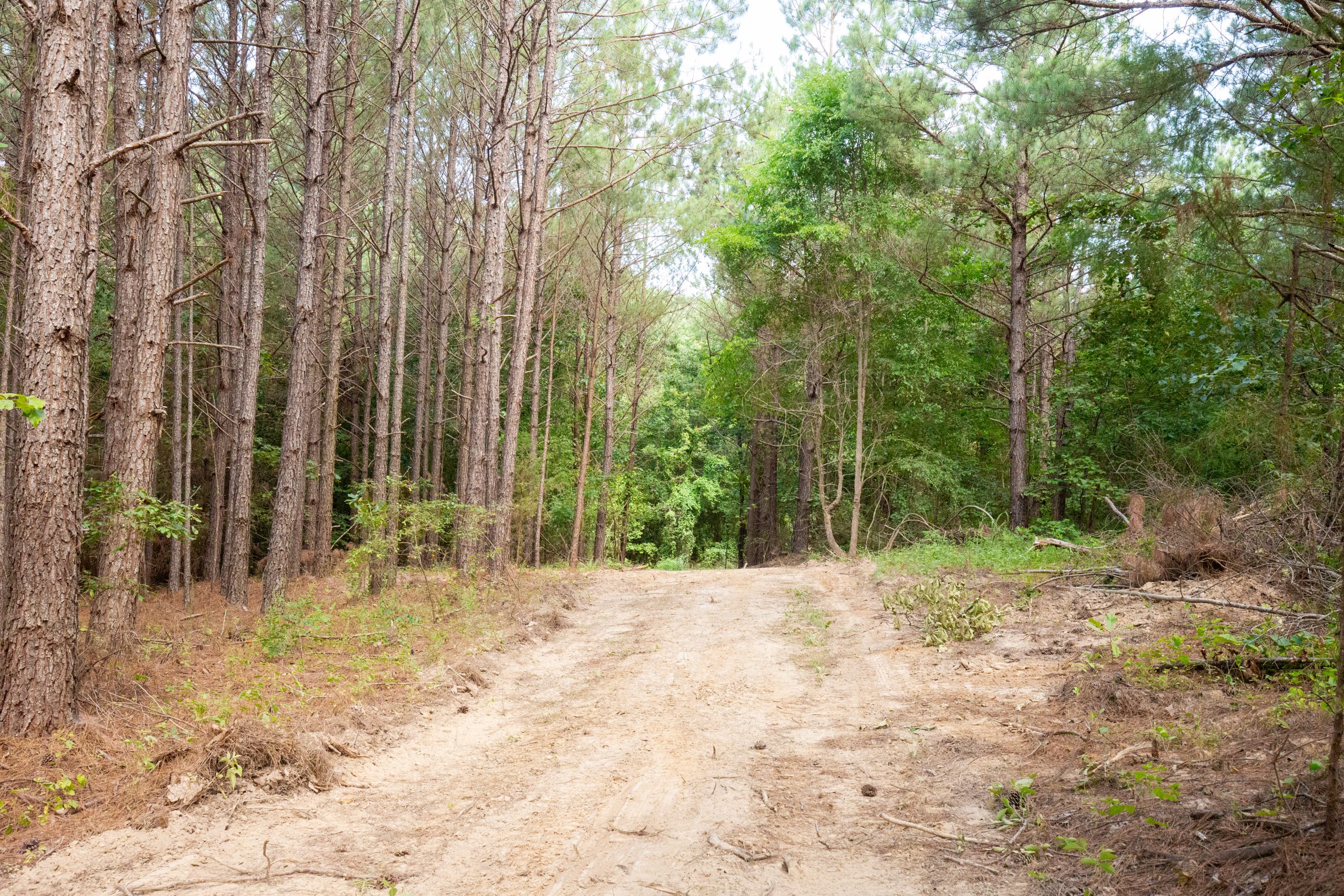 Tract 79 at Whiskey Ridge in Henderson County, Tennessee
