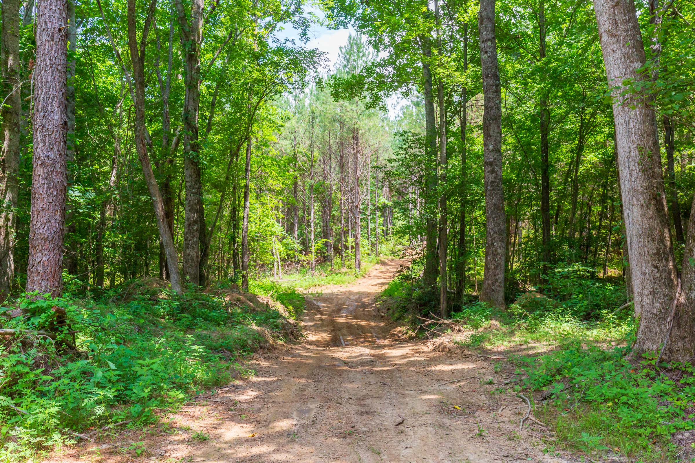 Tract 98 at Whiskey Ridge in Henderson County, Tennessee